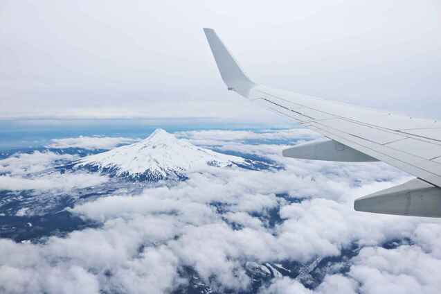 胖狗狗的空中冒險之旅